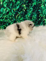 processed/c0cb5327-cd9a-453e-94dc-01e01edf2111/listing/e9ae1a6c-8074-4dc9-8cfa-c878452753a0/7481a464-984b-43c8-88f9-e3465ed59010