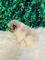 processed/c0cb5327-cd9a-453e-94dc-01e01edf2111/listing/e9ae1a6c-8074-4dc9-8cfa-c878452753a0/b27f087b-d4a7-466d-93d3-aa2cd4ff34b9