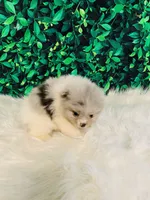 processed/c0cb5327-cd9a-453e-94dc-01e01edf2111/listing/e9ae1a6c-8074-4dc9-8cfa-c878452753a0/ef623d7f-c529-4ba7-874e-fdde812f38ff