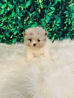 processed/c0cb5327-cd9a-453e-94dc-01e01edf2111/listing/e9ae1a6c-8074-4dc9-8cfa-c878452753a0/f5d3675d-fc61-4815-99df-dca7994980d4