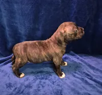 processed/c0d2917b-0645-4d61-90ad-a5cdef966831/listing/94298183-e22f-4b9e-8e4c-b4dbe2944213/80660247-bdff-4153-a577-0ed2fa32af41