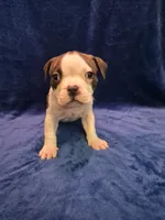 processed/c0d2917b-0645-4d61-90ad-a5cdef966831/listing/ee14d2cd-6820-49a1-8b4f-34cfe12377de/182e1f6b-3bf3-41c6-87fe-58af1956fe38