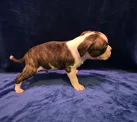 processed/c0d2917b-0645-4d61-90ad-a5cdef966831/listing/ee14d2cd-6820-49a1-8b4f-34cfe12377de/448d0d94-e411-4890-904c-10dfdd64478c