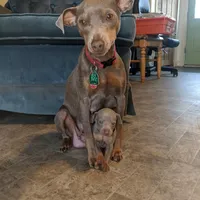 processed/c0d60f02-413f-4490-90b6-a5708ab06dc3/facility/16fcc3ee-1dbe-4cb2-9b3c-5770f3874455