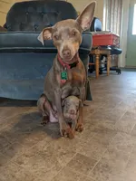 processed/c0d60f02-413f-4490-90b6-a5708ab06dc3/facility/16fcc3ee-1dbe-4cb2-9b3c-5770f3874455