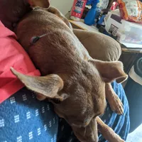 processed/c0d60f02-413f-4490-90b6-a5708ab06dc3/facility/1f455b44-46a4-4622-be76-b202cb79437f