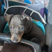 processed/c0d60f02-413f-4490-90b6-a5708ab06dc3/facility/5d829d0a-7844-4aaf-91f1-d12227d1eb0a