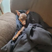 processed/c0d60f02-413f-4490-90b6-a5708ab06dc3/facility/e8cf0ab5-2b84-43e5-8806-238581cb1a9e