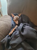 processed/c0d60f02-413f-4490-90b6-a5708ab06dc3/facility/e8cf0ab5-2b84-43e5-8806-238581cb1a9e