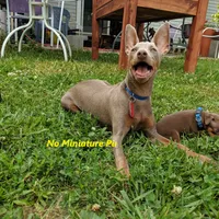 processed/c0d60f02-413f-4490-90b6-a5708ab06dc3/facility/fa4e81a0-387c-4bae-9434-1b1bc53f69c8