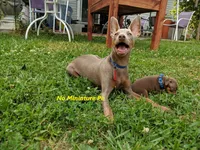 processed/c0d60f02-413f-4490-90b6-a5708ab06dc3/facility/fa4e81a0-387c-4bae-9434-1b1bc53f69c8