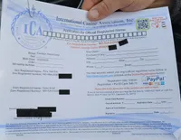 Duke no tail, a male Cardigan Welsh Corgi for sale in Clinton, MO – Photo 2 of 9