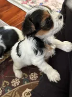 processed/c0d8eda2-d1ca-44dc-b511-7a36296d6630/listing/814fdd01-cc54-4502-8a54-f6d6fd1b847d/1dfd5879-02fe-4066-bcb2-26bcd81a48a7