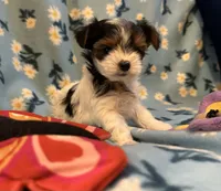 processed/c0d8eda2-d1ca-44dc-b511-7a36296d6630/listing/814fdd01-cc54-4502-8a54-f6d6fd1b847d/a8956f63-bb38-4047-9bd7-88b9a343b6a4