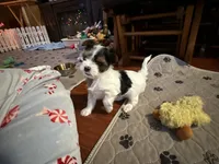 processed/c0d8eda2-d1ca-44dc-b511-7a36296d6630/listing/814fdd01-cc54-4502-8a54-f6d6fd1b847d/b1196bd4-16ea-4bfd-ae66-61d08a240251