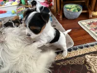 processed/c0d8eda2-d1ca-44dc-b511-7a36296d6630/listing/814fdd01-cc54-4502-8a54-f6d6fd1b847d/c1500aac-b20f-4718-95bb-4dda6584596d