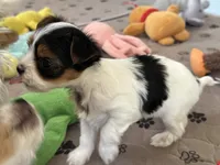 processed/c0d8eda2-d1ca-44dc-b511-7a36296d6630/listing/814fdd01-cc54-4502-8a54-f6d6fd1b847d/d00c22b6-518b-40fd-a95e-fa96d0a0e12b