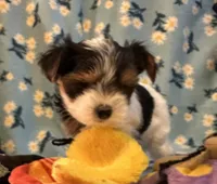 processed/c0d8eda2-d1ca-44dc-b511-7a36296d6630/listing/814fdd01-cc54-4502-8a54-f6d6fd1b847d/f8dadd12-b3da-474b-9047-f0dc3c201b94