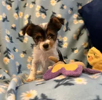 processed/c0d8eda2-d1ca-44dc-b511-7a36296d6630/listing/b1e22a32-3509-4312-a54b-01a9c1cac8a2/14ee7813-4c16-4a6d-a488-e395cfcea126