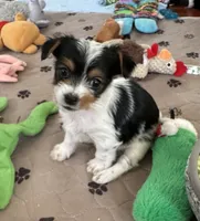 processed/c0d8eda2-d1ca-44dc-b511-7a36296d6630/listing/b1e22a32-3509-4312-a54b-01a9c1cac8a2/38bf77f2-6b19-449e-83f7-776947702162