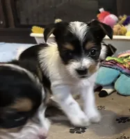 processed/c0d8eda2-d1ca-44dc-b511-7a36296d6630/listing/b1e22a32-3509-4312-a54b-01a9c1cac8a2/8b18f14f-a1dc-4e22-a4c5-59c898ef7ea9