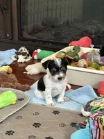 processed/c0d8eda2-d1ca-44dc-b511-7a36296d6630/listing/b1e22a32-3509-4312-a54b-01a9c1cac8a2/94553f1d-af9f-4bdb-9f0d-1b06e95bbb21