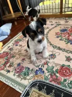 processed/c0d8eda2-d1ca-44dc-b511-7a36296d6630/listing/b1e22a32-3509-4312-a54b-01a9c1cac8a2/9925fdee-7371-403c-b1e9-322806ba81a3