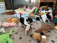 processed/c0d8eda2-d1ca-44dc-b511-7a36296d6630/listing/b903982c-e065-4d7d-8a2f-996a326f209f/055b164a-5056-4000-a959-59e69980c65b