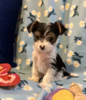 processed/c0d8eda2-d1ca-44dc-b511-7a36296d6630/listing/b903982c-e065-4d7d-8a2f-996a326f209f/136fc2d6-8fea-436a-add5-37641edc8ad9