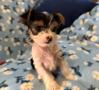 processed/c0d8eda2-d1ca-44dc-b511-7a36296d6630/listing/b903982c-e065-4d7d-8a2f-996a326f209f/3418be46-9e61-4ecc-9b11-116ec1836eca