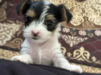 processed/c0d8eda2-d1ca-44dc-b511-7a36296d6630/listing/b903982c-e065-4d7d-8a2f-996a326f209f/8ed219fa-e7d9-4a78-9c6a-47a8ef309688