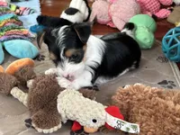 processed/c0d8eda2-d1ca-44dc-b511-7a36296d6630/listing/b903982c-e065-4d7d-8a2f-996a326f209f/927a4983-0b52-4493-8c6f-8ee8461b6afc