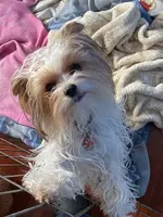 processed/c0d8eda2-d1ca-44dc-b511-7a36296d6630/listing/b903982c-e065-4d7d-8a2f-996a326f209f/9db80040-7569-465c-b38d-52713769bbe8