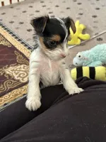 processed/c0d8eda2-d1ca-44dc-b511-7a36296d6630/listing/b903982c-e065-4d7d-8a2f-996a326f209f/a4b3b81e-2ae7-4496-8063-5fd3d1d096cd