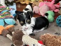 processed/c0d8eda2-d1ca-44dc-b511-7a36296d6630/listing/b903982c-e065-4d7d-8a2f-996a326f209f/bda5dc17-082d-4ae0-a311-19424afd8d6d