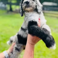 processed/c0dc367f-6503-4ba6-9b1f-e983e3f792b3/facility/4188e697-0a75-4636-acbc-5035fefc1e5f