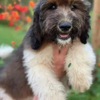 processed/c0dc367f-6503-4ba6-9b1f-e983e3f792b3/facility/4ad8218f-01e3-453c-8692-7f695ed198fe