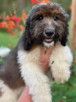 processed/c0dc367f-6503-4ba6-9b1f-e983e3f792b3/facility/4ad8218f-01e3-453c-8692-7f695ed198fe