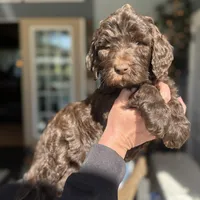 processed/c0dc367f-6503-4ba6-9b1f-e983e3f792b3/facility/8e052836-fc83-4868-a77c-f127215ce59c