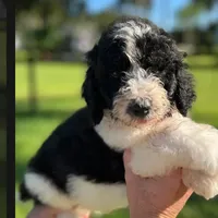 processed/c0dc367f-6503-4ba6-9b1f-e983e3f792b3/facility/a0b6cfda-ae0c-4591-95df-15131f6a6df3