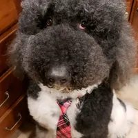 processed/c0dc367f-6503-4ba6-9b1f-e983e3f792b3/facility/a164b1a1-bad5-474a-823c-f9c00ae07aee