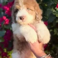 processed/c0dc367f-6503-4ba6-9b1f-e983e3f792b3/facility/c2b73779-aa6e-4038-9339-aa9af40ba07f