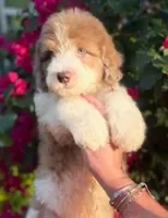 processed/c0dc367f-6503-4ba6-9b1f-e983e3f792b3/facility/c2b73779-aa6e-4038-9339-aa9af40ba07f