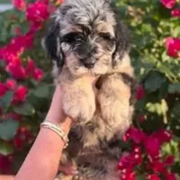 processed/c0dc367f-6503-4ba6-9b1f-e983e3f792b3/facility/fa6450c0-c5f7-475a-8b84-64e366ad16bf