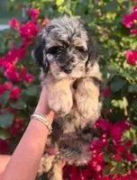 processed/c0dc367f-6503-4ba6-9b1f-e983e3f792b3/facility/fa6450c0-c5f7-475a-8b84-64e366ad16bf