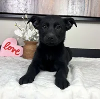 processed/c0df3abb-3d60-4278-8a91-c01b5d82f07c/listing/e36e681d-6b08-49dd-bc95-4c545a47b279/3030a108-cbad-4b15-b868-6b7daae26122