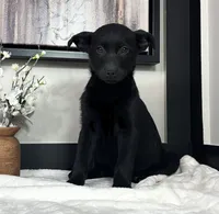 processed/c0df3abb-3d60-4278-8a91-c01b5d82f07c/listing/e36e681d-6b08-49dd-bc95-4c545a47b279/69ebf85c-3daa-4fdb-8ad5-cff23c4c4dd9