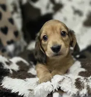 processed/c0e7dd6f-3d99-48ce-9e3c-57ddb1e31698/listing/1c4ca26f-87a0-40b4-b7f4-1c1f315891ba/047ece9b-d69e-42a0-9bfe-6949de8bf783