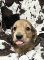 processed/c0e7dd6f-3d99-48ce-9e3c-57ddb1e31698/listing/1c4ca26f-87a0-40b4-b7f4-1c1f315891ba/78307ea3-d7fd-40b0-b683-ed7b17902fde