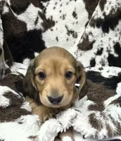 processed/c0e7dd6f-3d99-48ce-9e3c-57ddb1e31698/listing/1c4ca26f-87a0-40b4-b7f4-1c1f315891ba/7e402935-637d-45e1-a1e8-81b67d94c1cb